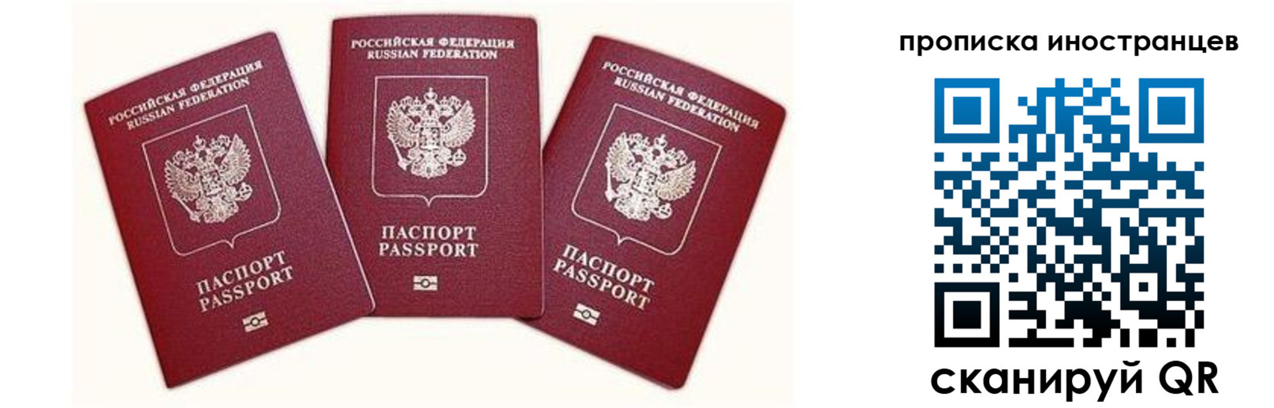 прописка в Тогучине